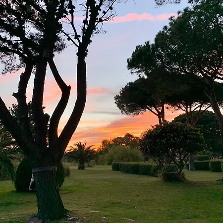 Apartment L' Du Golf Saint-Cyprien (Pyrenees-Orientales)