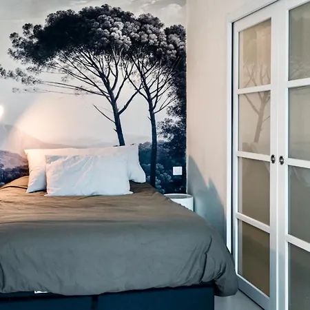 L Du Golf Classe 4 Etoiles 68 M2 Neuf Sans Vis A Vis Plein Sud Saint-Cyprien