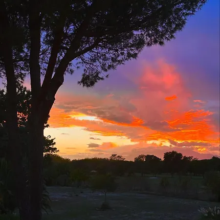 L Du Golf Classe 4 Etoiles 68 M2 Neuf Sans Vis A Vis Plein Sud Saint-Cyprien